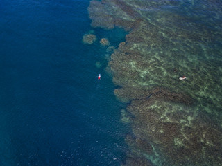 Aerial view of stand up paddle boarders on the Ocean