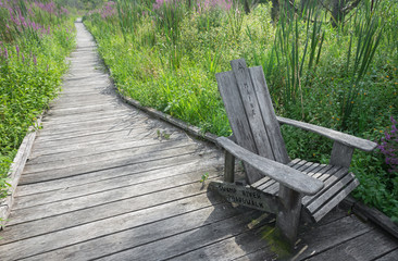 Fototapeta premium Appalachian Trail