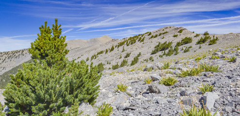 Desert Mountain Terrain
