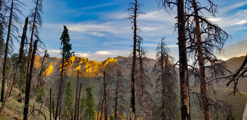 Dawn on the Mountainside