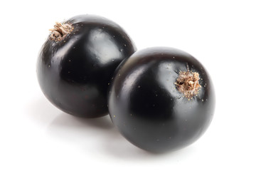 two black currant isolated on white background