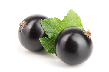 two black currant with leaf isolated on white background