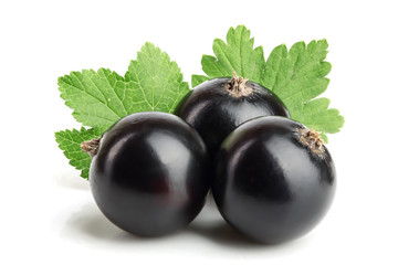 three black currant with leaf isolated on white background