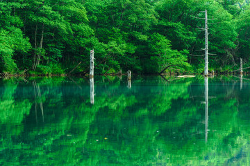 上高地～大正池