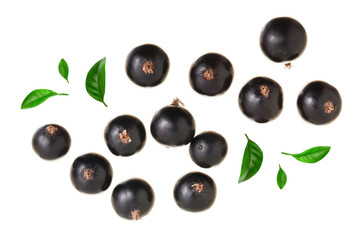 black currant isolated on white background. Top view. Flat lay pattern
