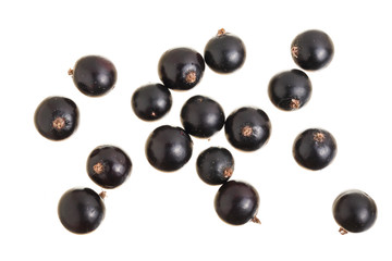 black currant isolated on white background. Top view. Flat lay pattern