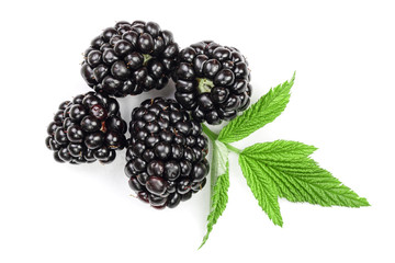 Fresh blackberry with leaves isolated on white background. Top view. Flat lay pattern