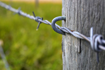 Barbed Wire Fence and Fence Post Close Up
