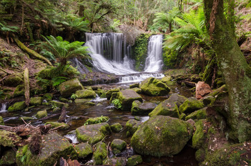 Horseshoe Falls lies within Tasmania, Australia. It is situated in lush, green rainforest. Long exposure with moss covered rocks in the foreground.