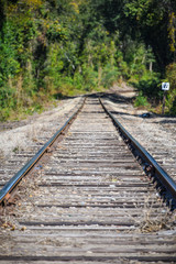 Obraz premium Train Tracks disappearing into the distance woods