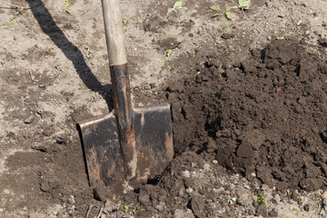 old metal rusty shovel,