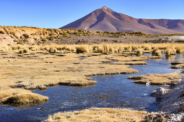 High altitude marshlands and volcanic landscapes near Quetana Grande in the Eduardo Avaroa National...