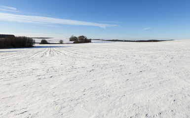 Snow drifts in winter
