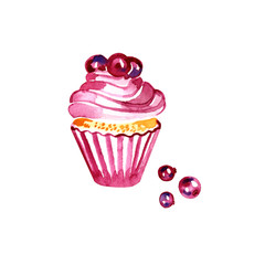 Watercolor Christmas cupcake with berry cranberry. Watercolor illustration isolated on white background. Hand drawn sketch.