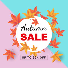 autumn sale banner