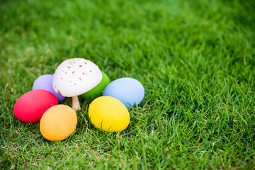 Colorful easter eggs under the white mushroom on the green garden yard. symbol of easter's day festival. festive wallpaper. image for background, wallpaper,article,illustration and copy space.