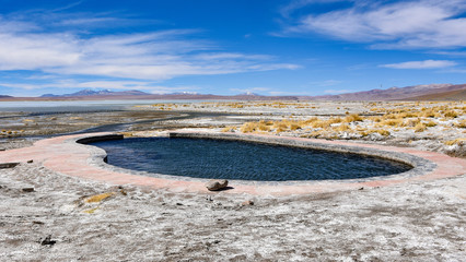 Laguna y Termas de Polques hot springs pool with the Salar de Chalviri in background, Reserva...