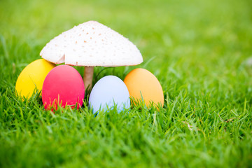 Colorful easter eggs under the white mushroom on the green garden yard. symbol of easter's day festival. festive wallpaper. image for background, wallpaper,article,illustration and copy space.