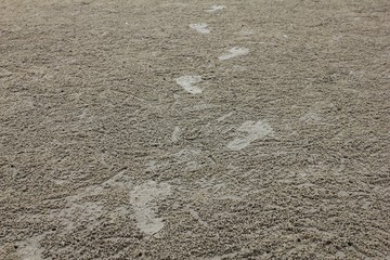 Footprint on the beach sand.