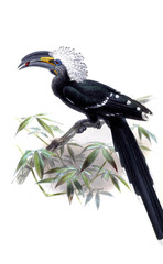 Obraz premium Illustration of birds.