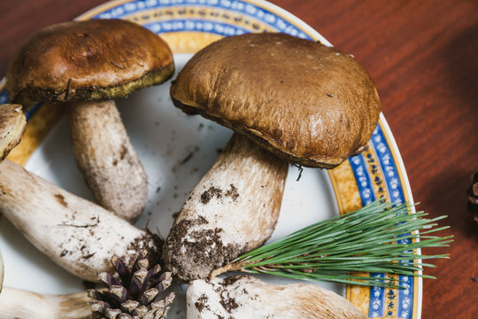 White mushrooms lie on plate. Close-up