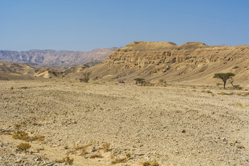 Fototapeta na wymiar Stone desert in Israel.