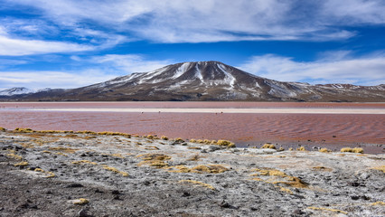 Laguna Colorada in the Eduardo Avaroa Andean Fauna Natural Reserve, Bolivia