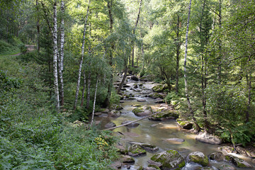 Belokurikha river in Altay