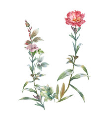 watercolor painting of leaves and flower, on white background