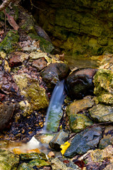 The spring in a forest ravine striking from under the rocks. Dolginsky ravine, Obninsk, Russia