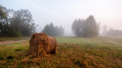 Mglisty poranek... © podlaski49