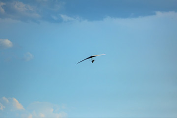 Silhouette of hang glider against blue sky with thunderclouds. Copy space.