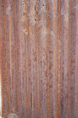 A corrugated iron metal sheet with rusty