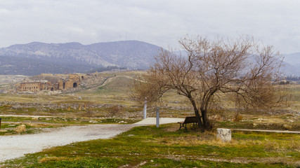 Fototapeta na wymiar Tree by a path and ruins of Hierapolis, in Pamukkale, Turkey