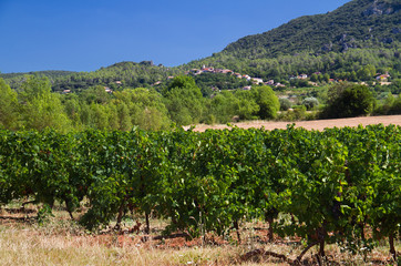 Landscape in France with Vineyard, hills, village and blue sky