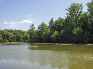 Les étangs de Saint-Bonnet-Tronçais au coeur de la plus belle chênaie d'Europe.