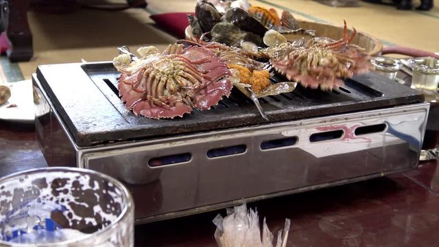 カブトガニ