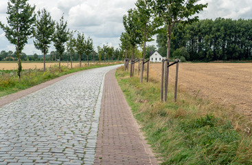Fototapeta na wymiar Curved cobblestone road with trees on both sides