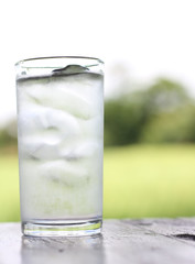 ice water in a clear glass on green natural background