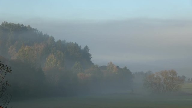 Time lapse of mist rising above the meadow near the forest.