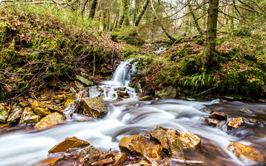 ruisseau de l'Ours