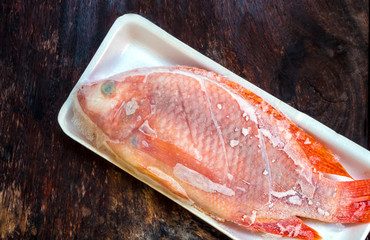 Fresh fish are frozen Prepare to cooking