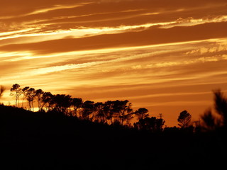 Atardecer naranja