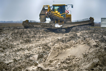 harvesting sugar beets