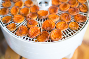 ripe segments of ripe apricots are dried in an electric dryer to preserve vitamins