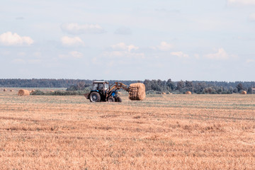 Obraz premium Agriculture and tractor collects straw bales on the farm plant