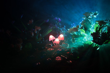 Three fantasy glowing mushrooms in mystery dark forest close-up. Beautiful macro shot of magic...