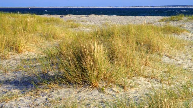 Sylt D&uuml;nen Landschaft in H&ouml;rnum mit Blick auf Amrum