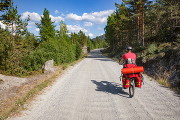 Traveling cyclist on cycle route in Southern Norway