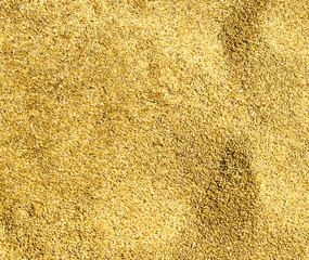 texture of grain of oats, background of oats, close-up, cereal